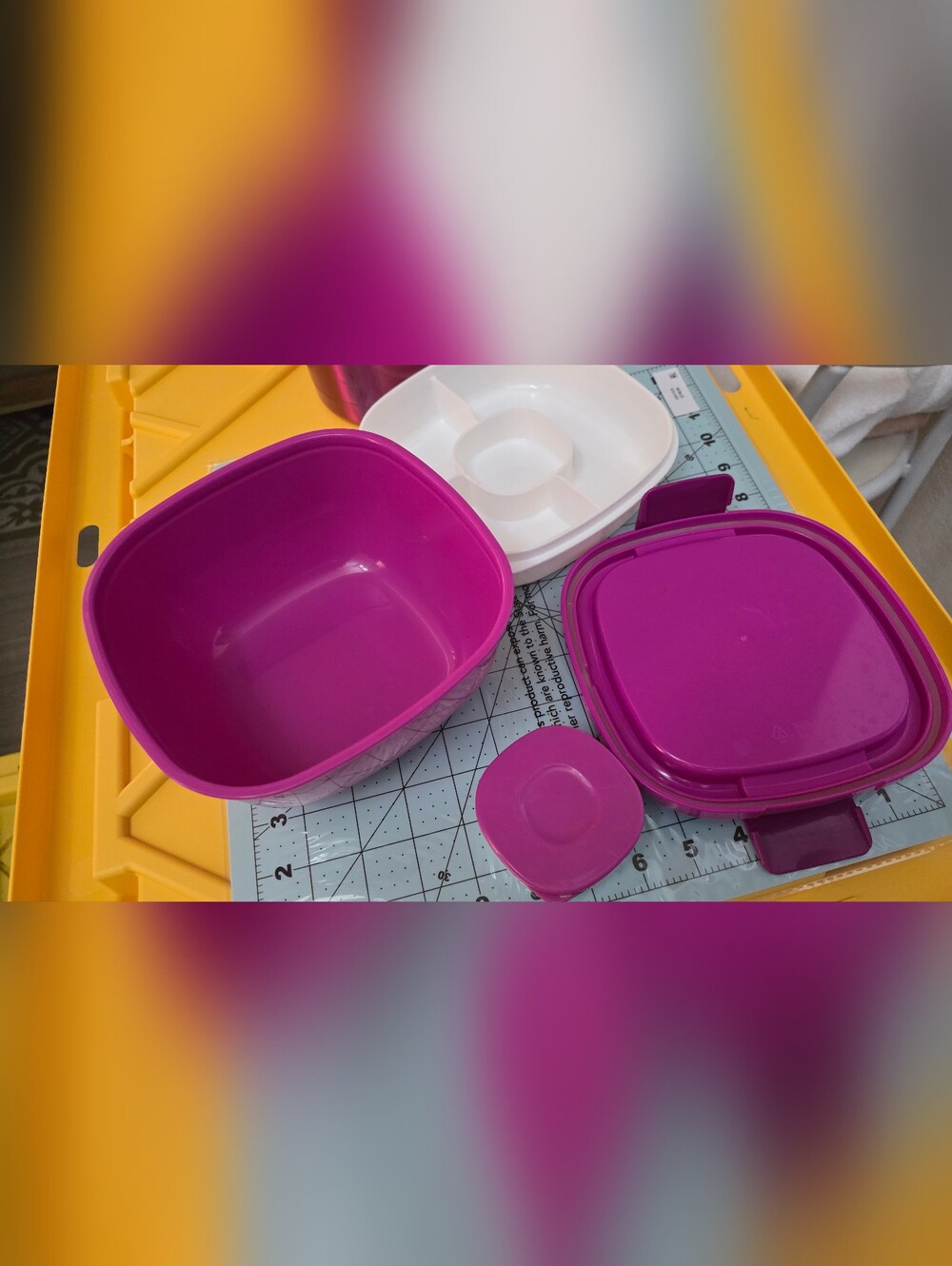 Please Read This Purple Food Storage Container Set - Versatile Kitchen Storage